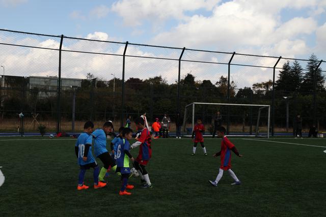 中国女篮出征奥运预选赛 大年初一对阵法国队